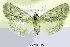  ( - 20196-180703-FR)  @11 [ ] Copyright (2013) Aidas Saldaitis Vilinus Ecological Institute