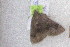  ( - 8092-260509-TX)  @12 [ ] Unspecified (default): All Rights Reserved  Unspecified Unspecified