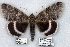  ( - 5884-300698-MT)  @14 [ ] Unspecified (default): All Rights Reserved  Unspecified Unspecified