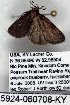  ( - 5924-060708-KY)  @12 [ ] Unspecified (default): All Rights Reserved  Unspecified Unspecified