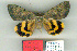  ( - 6169-150600-CH)  @13 [ ] Unspecified (default): All Rights Reserved  Unspecified Unspecified