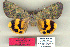  ( - 6170-020806-CH)  @13 [ ] Unspecified (default): All Rights Reserved  Unspecified Unspecified