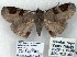  (Massala sp - 7072-COI-09)  @14 [ ] Unspecified (default): All Rights Reserved  Unspecified Unspecified
