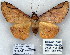  ( - 7075-COI-09)  @14 [ ] Unspecified (default): All Rights Reserved  Unspecified Unspecified