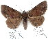  ( - 7180-COI-09)  @14 [ ] Unspecified (default): All Rights Reserved  Unspecified Unspecified