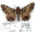  ( - 7310-COI-09)  @11 [ ] Unspecified (default): All Rights Reserved  Unspecified Unspecified