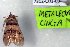  (Metalectra nr. cinctus - 7312-COI-09)  @12 [ ] Unspecified (default): All Rights Reserved  Unspecified Unspecified