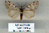  ( - 9028-210906-OM)  @12 [ ] Unspecified (default): All Rights Reserved  Unspecified Unspecified