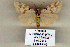  ( - 9029-090110-YE)  @12 [ ] Unspecified (default): All Rights Reserved  Unspecified Unspecified
