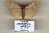  ( - 9030-090110-YE)  @12 [ ] Unspecified (default): All Rights Reserved  Unspecified Unspecified