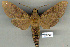  ( - 9040-030907-OM)  @14 [ ] Unspecified (default): All Rights Reserved  Unspecified Unspecified