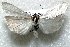  ( - 9057-090508-MN)  @13 [ ] Unspecified (default): All Rights Reserved  Unspecified Unspecified