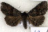  ( - 9065-010410-WI)  @12 [ ] Unspecified (default): All Rights Reserved  Unspecified Unspecified