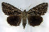  ( - 9076-070706-QU)  @14 [ ] Unspecified (default): All Rights Reserved  Unspecified Unspecified