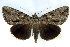  ( - 9109-160794-QU)  @15 [ ] Unspecified (default): All Rights Reserved  Unspecified Unspecified