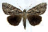  ( - 9110-230807-QU)  @14 [ ] Unspecified (default): All Rights Reserved  Unspecified Unspecified