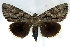  ( - 9111-230707-QU)  @14 [ ] Unspecified (default): All Rights Reserved  Unspecified Unspecified