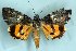  ( - 9112-270693-JA)  @14 [ ] Unspecified (default): All Rights Reserved  Unspecified Unspecified