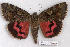  ( - 9220-140807-BE)  @13 [ ] Copyright (2008) Robert J. Borth Research Collection of Robert J. Borth