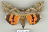  ( - 9249-230709-KA)  @13 [ ] Copyright (2008) Robert J. Borth Research Collection of Robert J. Borth