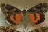  ( - 10223-130897-UT)  @11 [ ] Copyright (2011) Darryl Willis Unspecified