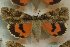  ( - 10224-130897-UT)  @11 [ ] Copyright (2011) Darryl Willis Unspecified