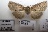  ( - 1056-061010-CH)  @12 [ ] Copyright (2011) Aidas Saldaitis Vilinus Ecological Institute