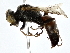  ( - BUITEMS-AQBL-09)  @11 [ ] CreativeCommons - Attribution (2022) CBG Photography Group Centre for Biodiversity Genomics