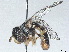 ( - BUITEMS-QBZS-67)  @11 [ ] CreativeCommons - Attribution (2022) CBG Photography Group Centre for Biodiversity Genomics