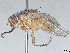  ( - BUITEMS-QBZS-88)  @11 [ ] CreativeCommons - Attribution (2022) CBG Photography Group Centre for Biodiversity Genomics