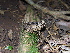  ( - FW0462)  @11 [ ] No Rights Reserved (2015) Unspecified Plymouth University