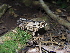  ( - FW0462)  @11 [ ] No Rights Reserved (2015) Unspecified Plymouth University