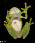  ( - RP602)  @11 [ ] CreativeCommons  Attribution Alexander Edwards (2018) Unspecified University of Plymouth