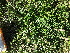  ( - 18-274)  @11 [ ] Copyright (2021) Unspecified Museo regionale di Scienze naturali Efisio Noussan, Regione Autonoma Valle d'Aosta
