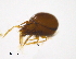  ( - BIOUG15123-F03)  @11 [ ] CreativeCommons - Attribution (2014) CBG Photography Group Centre for Biodiversity Genomics