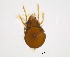  ( - BIOUG15123-F05)  @11 [ ] CreativeCommons - Attribution (2014) CBG Photography Group Centre for Biodiversity Genomics