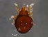  ( - BIOUG15123-G06)  @11 [ ] CreativeCommons - Attribution (2014) CBG Photography Group Centre for Biodiversity Genomics