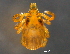  ( - BIOUG15123-H01)  @13 [ ] CreativeCommons - Attribution (2014) CBG Photography Group Centre for Biodiversity Genomics