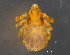 ( - BIOUG15123-H02)  @11 [ ] CreativeCommons - Attribution (2014) CBG Photography Group Centre for Biodiversity Genomics