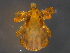  ( - BIOUG15123-H05)  @11 [ ] CreativeCommons - Attribution (2014) CBG Photography Group Centre for Biodiversity Genomics