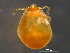  ( - BIOUG15123-H06)  @11 [ ] CreativeCommons - Attribution (2014) CBG Photography Group Centre for Biodiversity Genomics