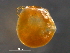  ( - BIOUG15123-H07)  @11 [ ] CreativeCommons - Attribution (2014) CBG Photography Group Centre for Biodiversity Genomics