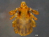  ( - BIOUG15123-H08)  @11 [ ] CreativeCommons - Attribution (2014) CBG Photography Group Centre for Biodiversity Genomics