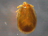  ( - BIOUG15123-H09)  @11 [ ] CreativeCommons - Attribution (2014) CBG Photography Group Centre for Biodiversity Genomics