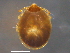  ( - BIOUG15123-H10)  @11 [ ] CreativeCommons - Attribution (2014) CBG Photography Group Centre for Biodiversity Genomics