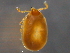  ( - BIOUG15123-H11)  @11 [ ] CreativeCommons - Attribution (2014) CBG Photography Group Centre for Biodiversity Genomics