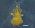  ( - BIOUG16634-D11)  @12 [ ] CreativeCommons - Attribution (2015) CBG Photography Group Centre for Biodiversity Genomics