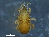  ( - BIOUG16634-D12)  @12 [ ] CreativeCommons - Attribution (2015) CBG Photography Group Centre for Biodiversity Genomics
