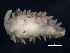  ( - BIOUG12670-F05)  @12 [ ] CreativeCommons - Attribution (2014) CBG Photography Group Centre for Biodiversity Genomics