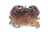  ( - CCDB22761-B02)  @11 [ ] CreativeCommons - Attribution Non-Commercial Share-Alike (2015) Melissa Frey Royal BC Museum
